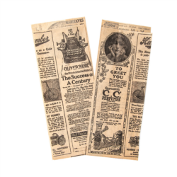 Maišelis pop. dvipusis 9+3x22 cm TIMES (500)