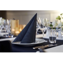 Servetėlė 40 x 40 cm. elegance lily black (40)