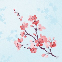 Servetėlės 40 x 40 cm. bio dunisoft cherry breeze blue (60)