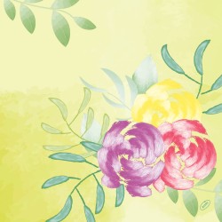 Servetėlės 40 x 40 cm. bio dunisoft soft tropics (60)