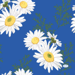 Servetėlės 24 x 24 cm. 3 sl. Daisy Blue, 20 vnt.
