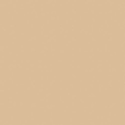 Servetėlė BIO DUNISOFT natural brown 40 x 40 cm. (60 vnt.)