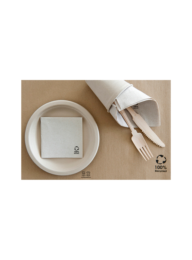 Servetėlės 20 cm DP  ekol (100)