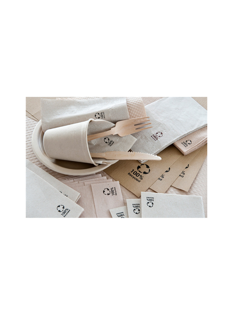 Servetėlės 33 cm Ecolabel Double Point  ekol (50)