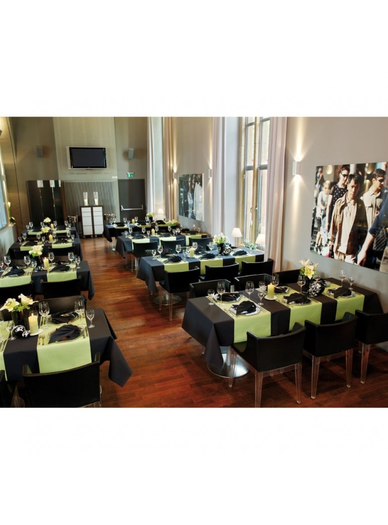 Staltiesė 0,4x24 m dcel Kiwi