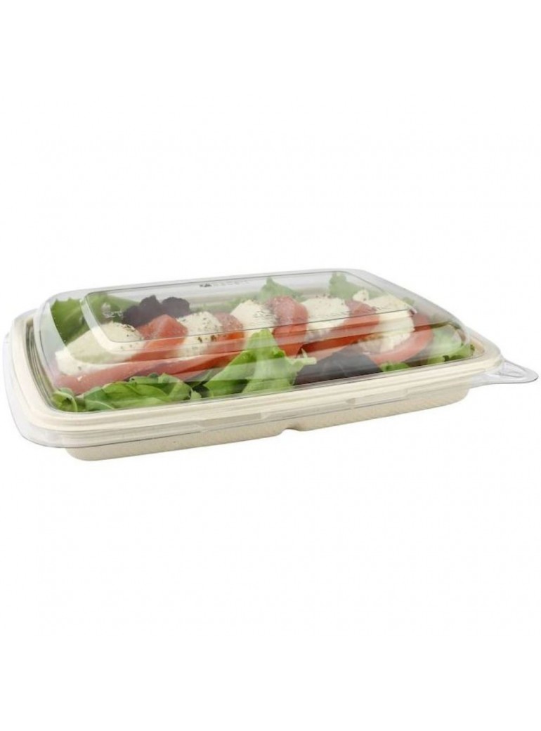 Dangtelis dubeniui 133211, 133212 (75)