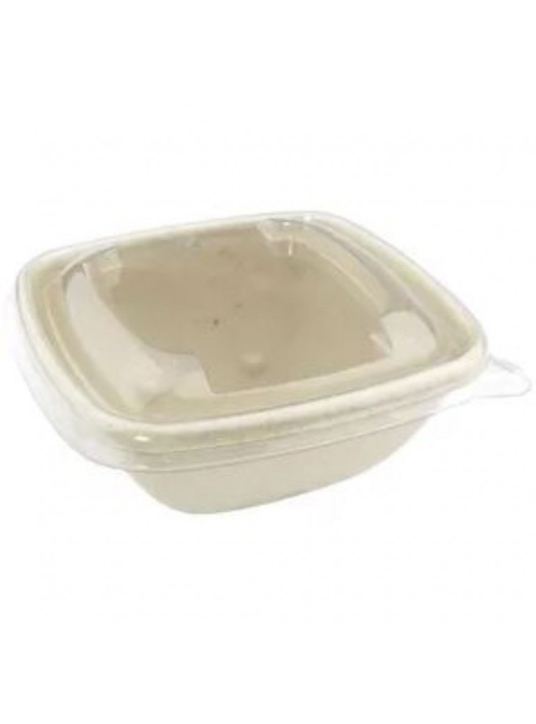 Dangtelis dubeniui 133217, 133218 (50)