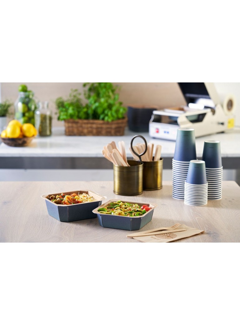 Vienk. DF 165x178x45 kartoninis/PE