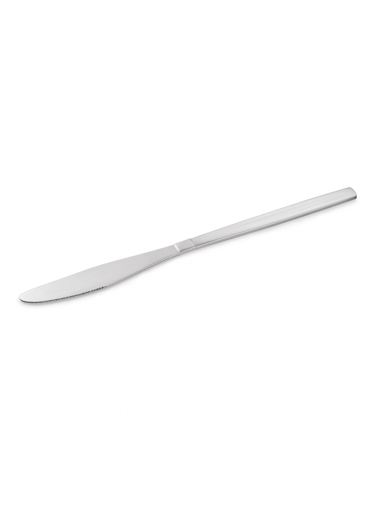 Table knife 21 cm